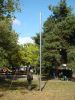 Filename=DSC03330.JPG
Filesize=278KB
Dimensions=600x800
Date added=Sep 28, 2007 DSC03330.JPG